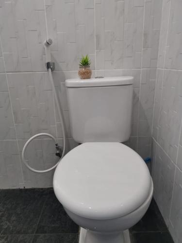 图克图克Hisar Guest House的浴室设有卫生间,上面有植物