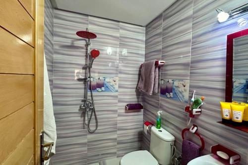 梅克内斯appartement tout confort的带淋浴和卫生间的浴室