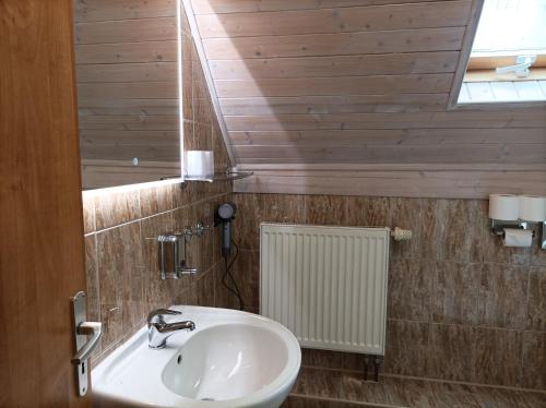 切尔尼杜尔Pension DORO的一间带水槽和镜子的浴室