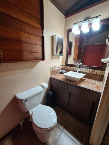 库尔克岛Yocamatsu的一间带卫生间、水槽和镜子的浴室