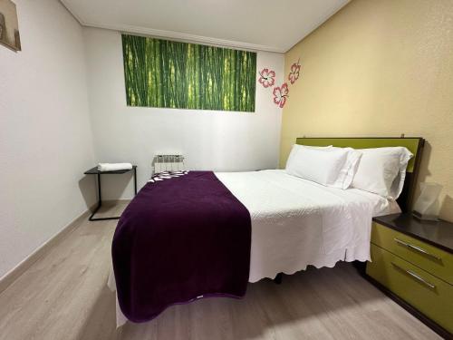 维多利亚-加斯特伊兹Apartamento Kalea corazón urbano的一间卧室配有一张大床和紫色毯子