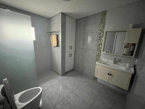 派桑杜RELAX III的一间带卫生间、水槽和镜子的浴室
