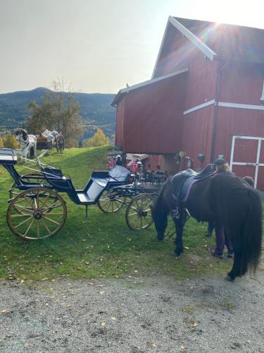 高尔Hesla Farm的两匹马站在马车旁边