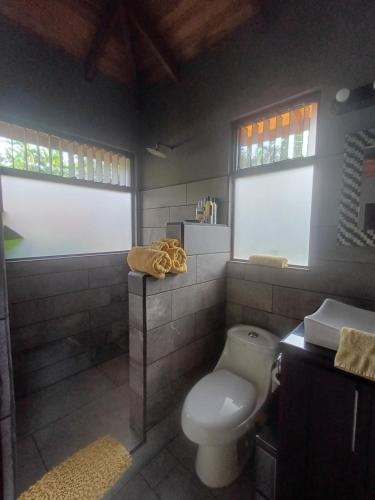 Jungle river的一间带卫生间和水槽的浴室以及两个窗户。