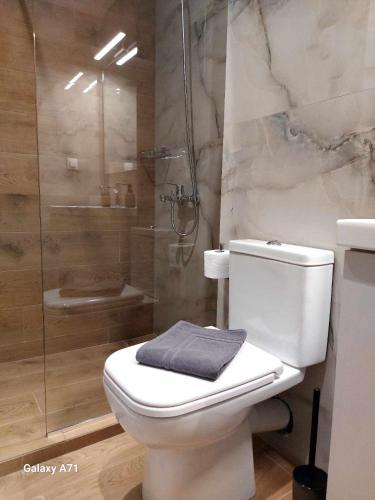 特里卡拉Square Apartments的一间带卫生间和玻璃淋浴间的浴室