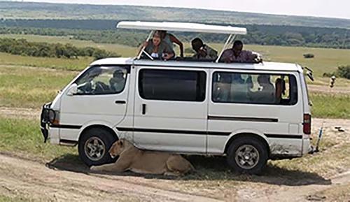 蒙巴萨Ali Lewa Tours的一群人乘坐一辆白色的面包车在土路里