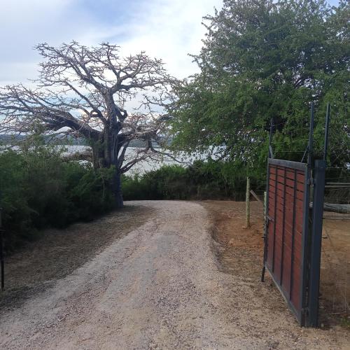 蒙巴萨Ali Lewa Tours的树上土路的大门