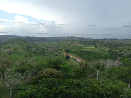蒙巴萨Ali Lewa Tours的享有山丘的景色,上面有一条路