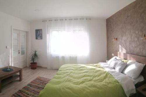 巴亚马雷Casa cu trandafiri的一间卧室设有一张绿色的床和一个窗户。