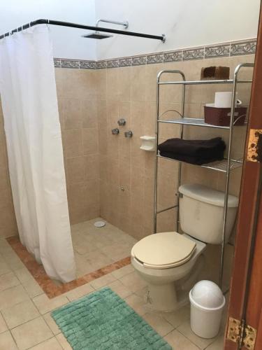 梅里达Casa "La 44"的浴室设有卫生间和带浴帘的淋浴。