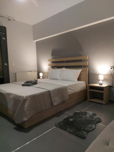 特里卡拉Square Apartments的一间卧室配有一张大床,配有两盏灯和地毯