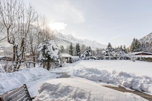 夏蒙尼-勃朗峰Spectacular Chalet with 5 ensuite bedrooms and sauna的一座带长凳和树木的雪覆盖公园
