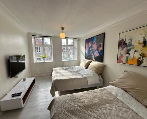 哥本哈根Central, Historical, Unique & Modern Apartment CPH的一间卧室配有两张床和一台平面电视