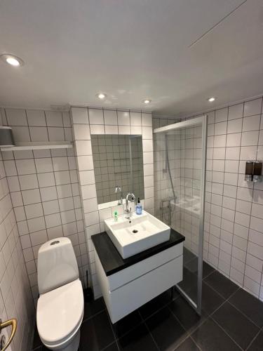 哥本哈根Central, Historical, Unique & Modern Apartment CPH的一间带水槽、卫生间和镜子的浴室