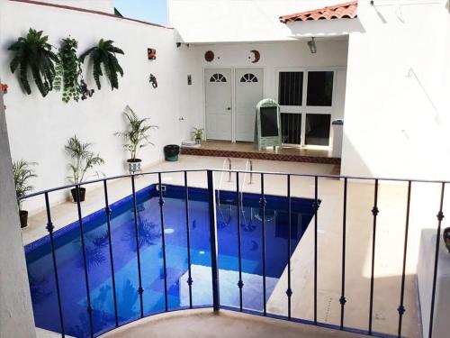 恰卡拉Hotel Quinta Mar y Selva的阳台享有游泳池的景致。