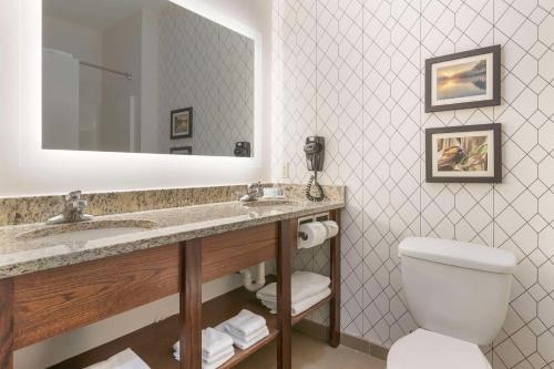 达文波特达文波特四城舒适套房酒店的一间带水槽、卫生间和镜子的浴室