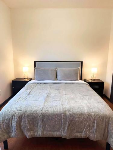 约翰逊城Queen bed ETSU, Milligan, JCMC, Downtown JC的一间卧室配有一张带2个床头柜的大床