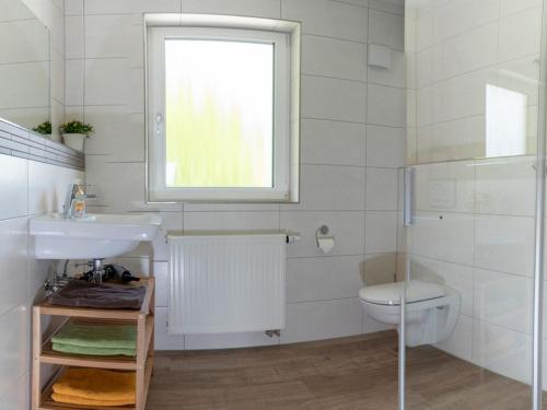 莱奇根Hof am Horn - Fewos in der Natur的一间带卫生间、水槽和窗户的浴室