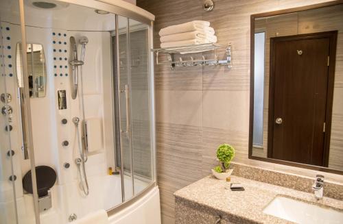 拉合尔HOTEL dGATES的带淋浴、盥洗盆和镜子的浴室