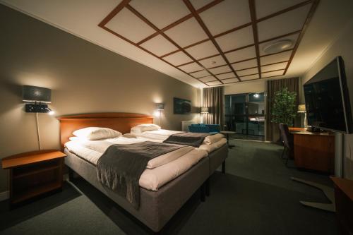 哈尔斯塔斯堪迪克哈尔斯塔酒店的一间卧室配有一张大床和电视