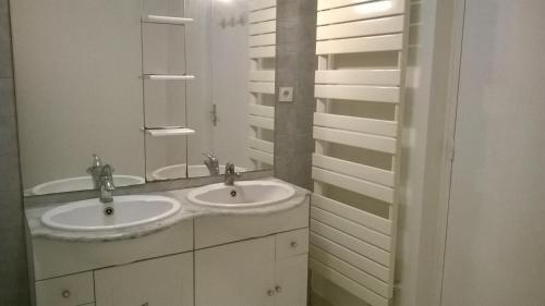 维勒班Oasis T3 centre ville jardin privé的浴室设有2个水槽和镜子