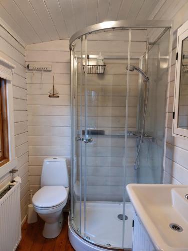 阿克雷里Bakkakot 1 - Cozy Cabins in the Woods的带淋浴、卫生间和盥洗盆的浴室