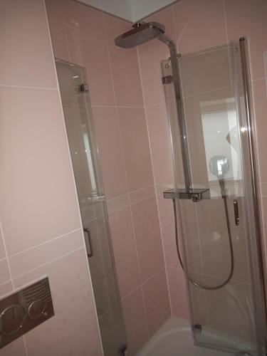 汉堡Villa Rosali Boutique Hotel的带淋浴的浴室和玻璃门