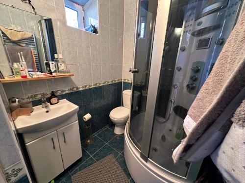 IvanceaLe Rustique的带淋浴、盥洗盆和卫生间的浴室