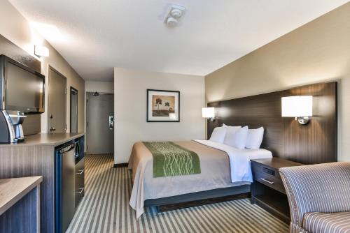 查塔姆查塔姆康福特茵酒店的酒店客房带一张床和一个厨房