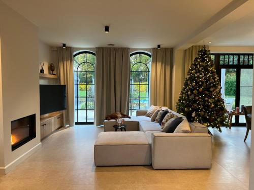 亨克Het Herenhuis的客厅配有圣诞树和沙发