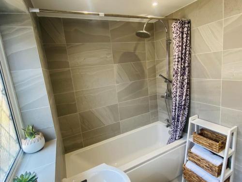 坎特伯雷Tranquil Bridge Escape的带浴缸、卫生间和淋浴的浴室。