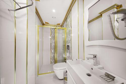 伊斯坦布尔巴贝尔公园酒店的浴室配有卫生间、盥洗盆和淋浴。
