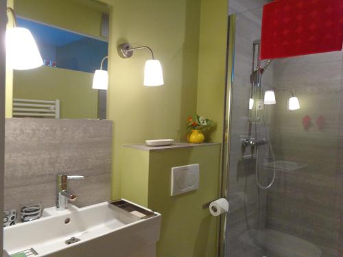 布鲁塞尔十二宫住宿加早餐旅馆的一间带水槽和淋浴的浴室