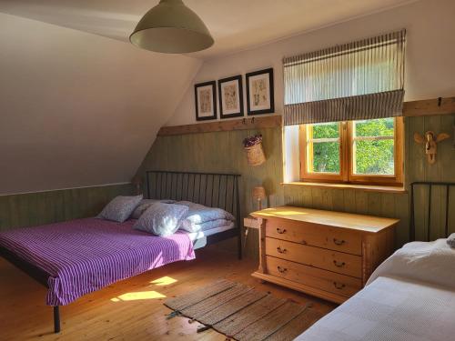 奥什恰德尼察Chata Kolmanovci的一间卧室设有两张床和窗户。
