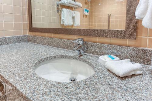 芬顿芬顿圣路易斯德鲁酒店的浴室柜台配有毛巾和水槽