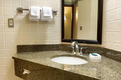 圣安东尼奥圣安东尼奥河滨德鲁利套房酒店的一间带水槽和镜子的浴室
