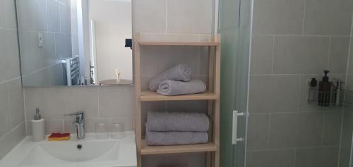 HouillesStudio Grand Confort à Houilles的浴室配有盥洗盆、淋浴和毛巾