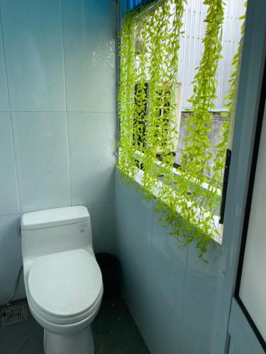 岘港Lu Peaceful Homestay的一间带卫生间的浴室和一扇绿植物窗户