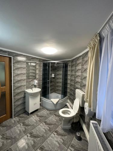 BuzăuFreedom&Relax的一间带卫生间和水槽的浴室