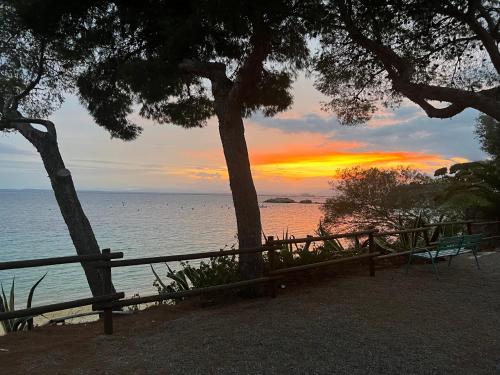 罗萨斯Almadrava Paradise的坐在海边的长凳上,日落