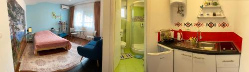 萨拉热窝Green Gate Apartments的一间带水槽和淋浴的浴室