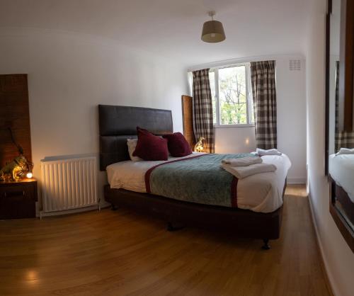 伦敦Very Spacious and beautiful 4-Bed House in London的一间卧室设有一张大床和一个窗户。