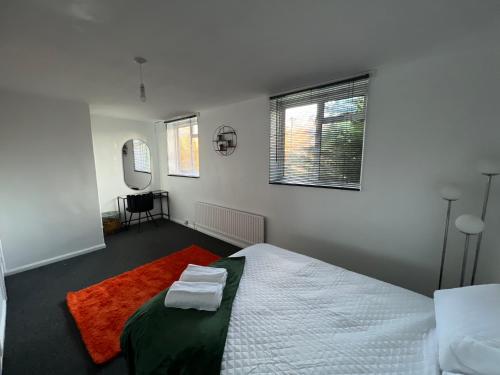 伦敦a two bedroom cosy hideaway based in greenwich的一间卧室配有一张大床和镜子
