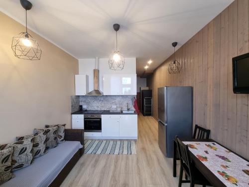 罗亚Hostel Mare的厨房以及带沙发和冰箱的客厅。