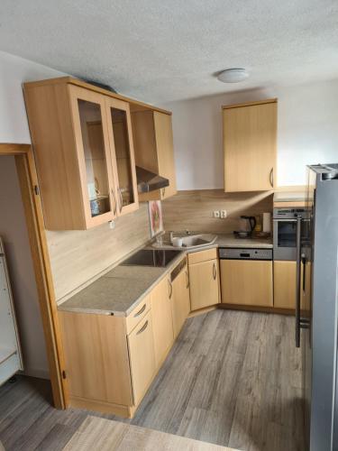 新勃兰登堡NB Hochschule Zwei Zimmer Wohnung的厨房配有木制橱柜、水槽和冰箱。