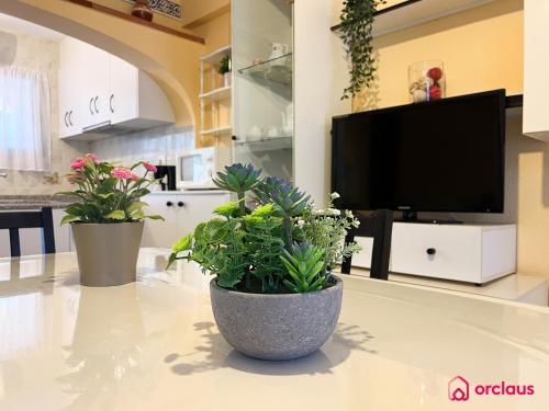 奥罗佩萨德尔马La Casona的厨房里桌子上放着两盆植物