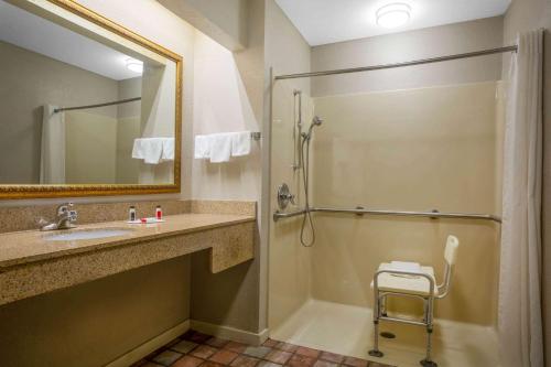 Lonoke洛诺克戴斯旅馆的一间带水槽和淋浴的浴室
