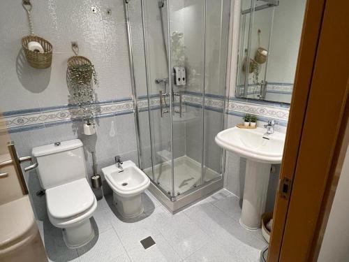里瓦-罗哈德图里亚Hotel Hospedarte, SL的带淋浴、卫生间和盥洗盆的浴室