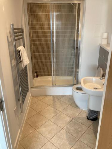 卡迪夫Quayside Apartments的带淋浴、卫生间和盥洗盆的浴室