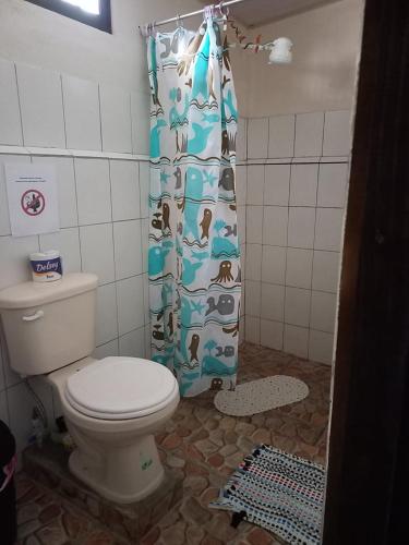 帕沃内斯Nick's Place Room #1的一间带卫生间和淋浴帘的浴室